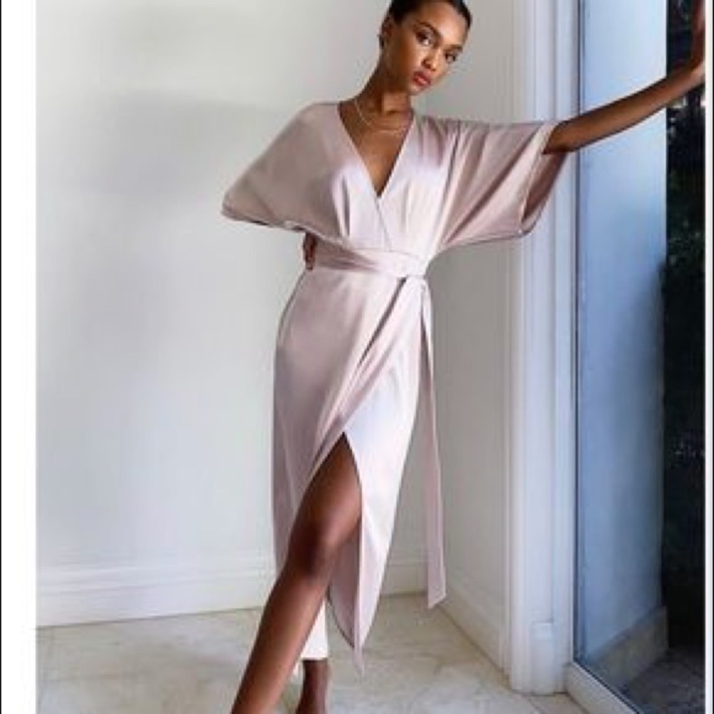 NWT Aritzia Babaton Stanley Dress